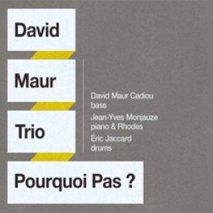 画像: DAVID MAUR(b) TRIO / Pourquoi Pas? (digipackCD) (澤野工房)