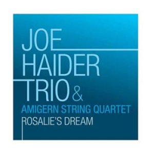 画像: JOE HAIDER / Rosalie's Dream  [CD]] (DOUBLE MOON)