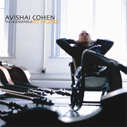 画像1: AVISHAI COHEN(b) TRIO & ENSEMBLE /  At Home [180g重量盤2LP ]] (NAIVE)